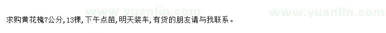 求購求購黃花槐7公分