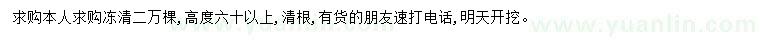 求購高60公分以上冬青