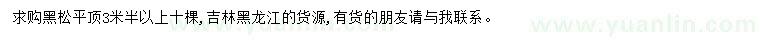 求購3.5米以上黑松