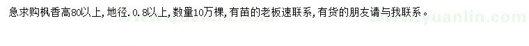 求購(gòu)高80公分以上楓香