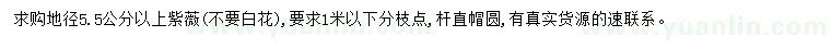 求購地徑5.5公分以上紫薇