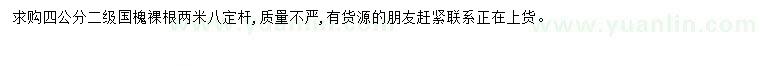 求購(gòu)4公分國(guó)槐