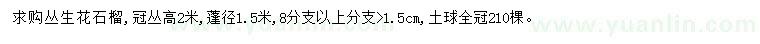 求購(gòu)高2米叢生花石榴