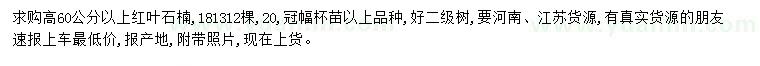 求購高60公分以上紅葉石楠