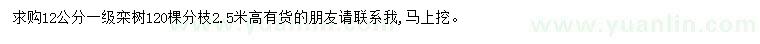 求購12公分欒樹