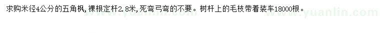 求購米徑4公分五角楓