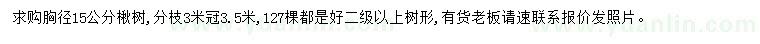 求購胸徑15公分楸樹(shù)