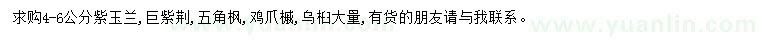 求購(gòu)紫玉蘭、巨紫荊、五角楓等