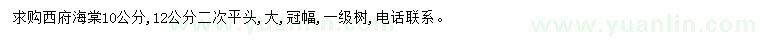 求購(gòu)10、12公分西府海棠