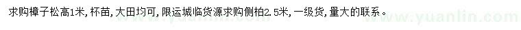求購高1米樟子松、、2.5米側(cè)柏