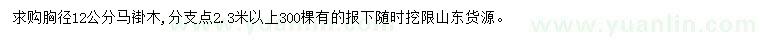 求購胸徑12公分馬褂木