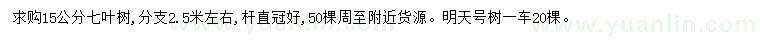 求購15公分七葉樹