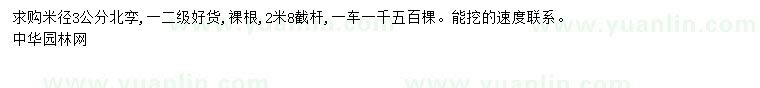 求購米徑3公分北欒