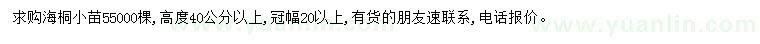 求購高40公分以上海桐