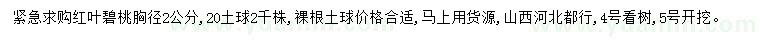 求購胸徑2公分紅葉碧桃