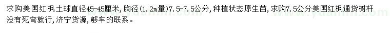求購胸徑7.5公分美國紅楓