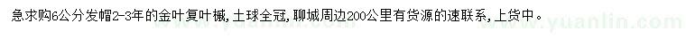 求購6公分金葉復(fù)葉槭