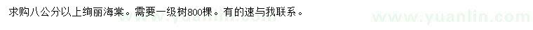 求購8公分以上絢麗海棠