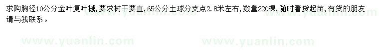 求購(gòu)胸徑10公分金葉復(fù)葉槭