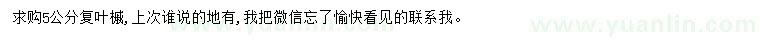 求購5公分復(fù)葉槭