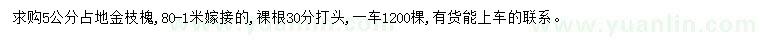 求購5公分金枝槐