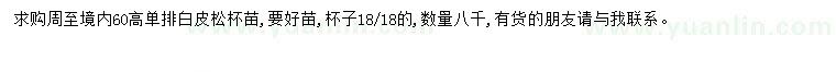 求購高60公分白皮松