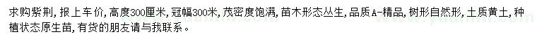 求購(gòu)高300公分紫荊