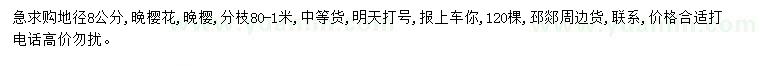 求購地徑8公分晚櫻