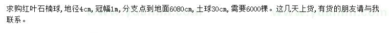 求購地徑4公分紅葉石楠球