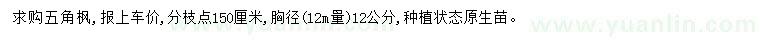 求購胸徑12公分五角楓
