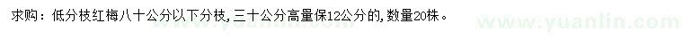 求購(gòu)30量12公分紅梅