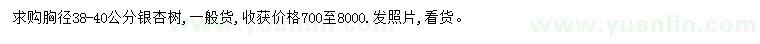 求購胸徑38-40公分銀杏