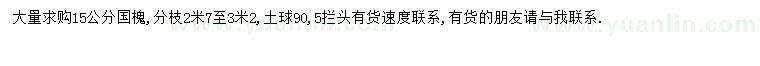 求購15公分國槐