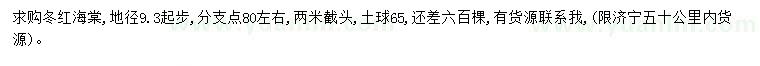 求購地徑9.3公分起步冬紅海棠