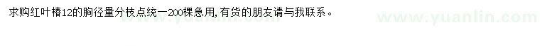 求購(gòu)12公分紅葉椿