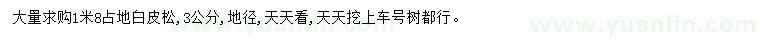 求購地徑3公分白皮松
