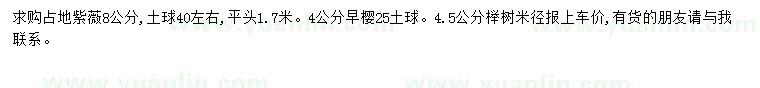 求購8公分占地紫薇