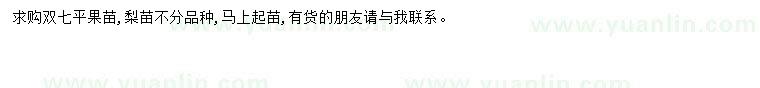 求購雙七蘋果
