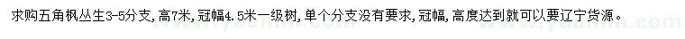 求購高7米叢生五角楓