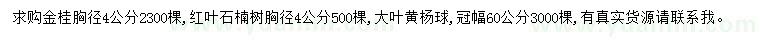 求購金桂、紅葉石楠、大葉黃楊球