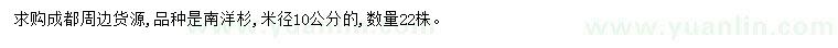 求購米徑10公分南洋杉