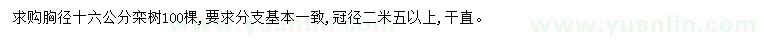 求購胸徑16公分欒樹