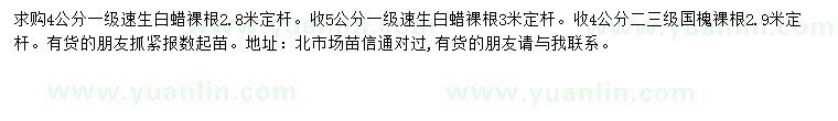 求購(gòu)4公分白蠟