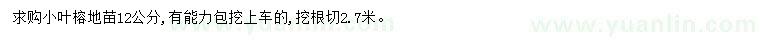 求購12公分小葉榕