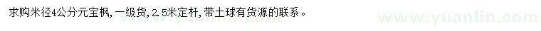 求購米徑4公分元寶楓