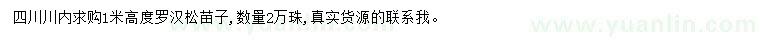求購高1米羅漢松