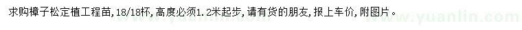 求購高1.2米起步樟子松