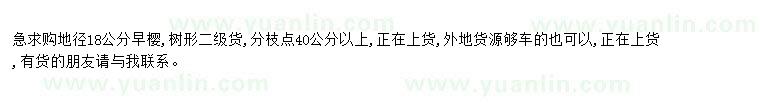 求購(gòu)求購(gòu)地徑18公分早櫻