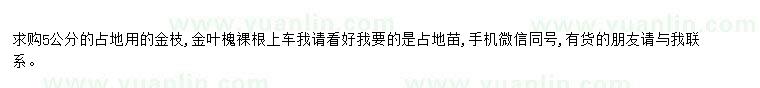 求購求購5公分占地用金枝