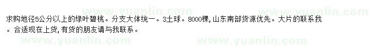 求購求購地徑5公分以上綠葉碧桃